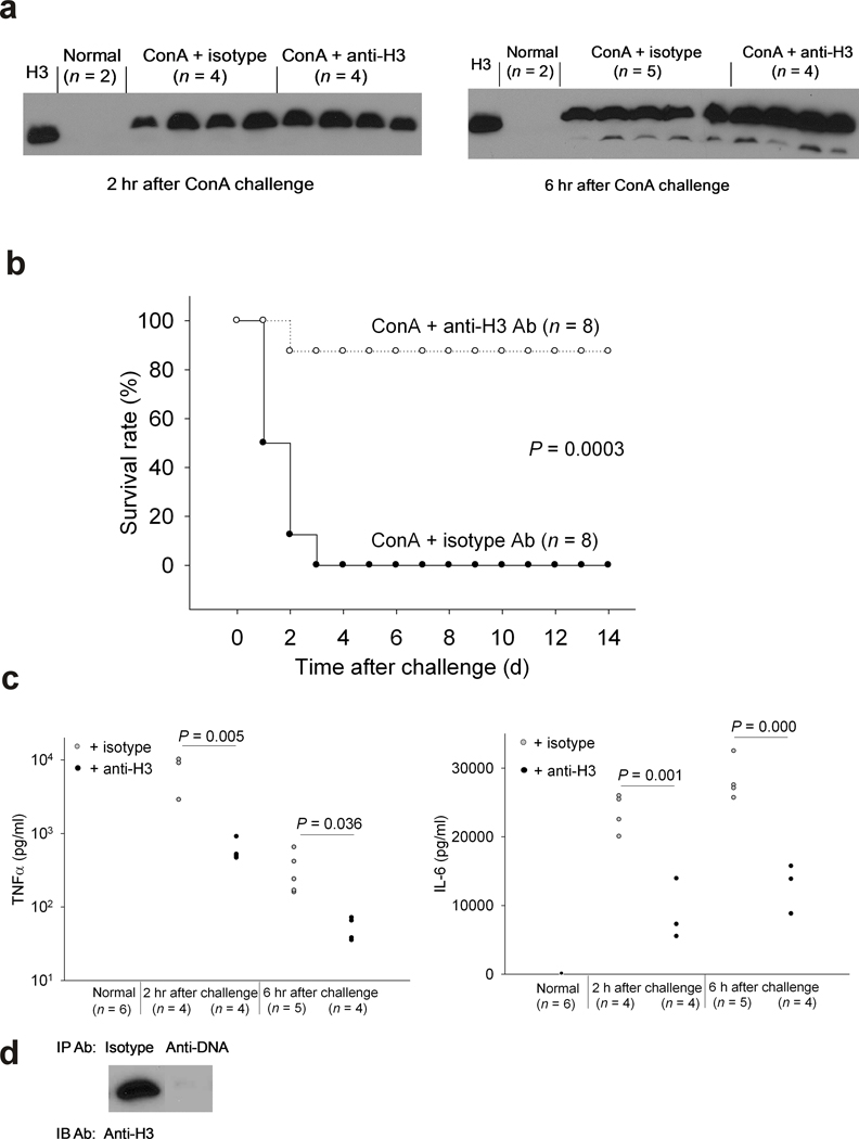 Fig.2