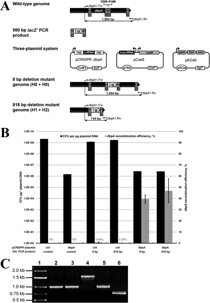 FIG 2