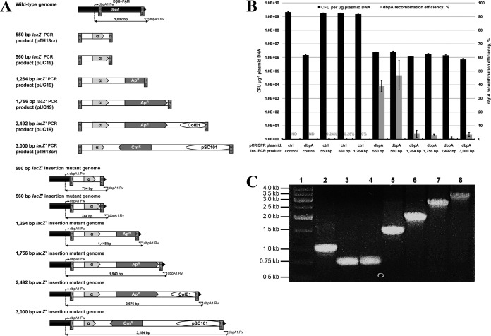 FIG 4