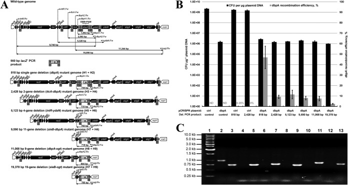 FIG 3