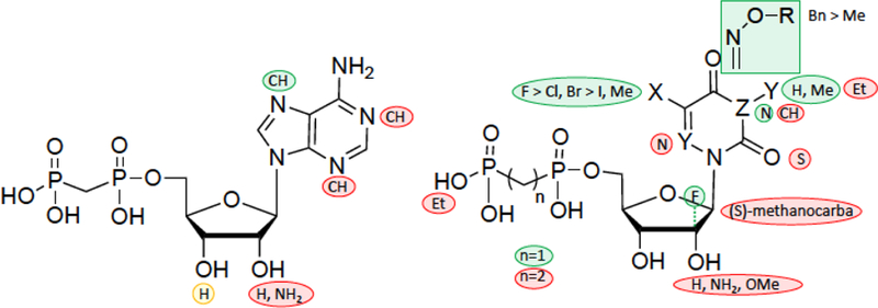 Figure 8