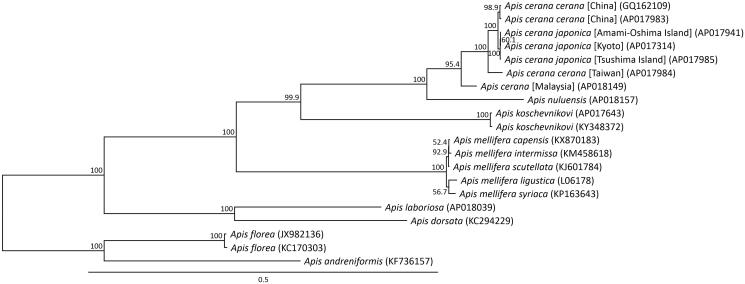 Figure 1.