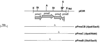 FIG. 4.