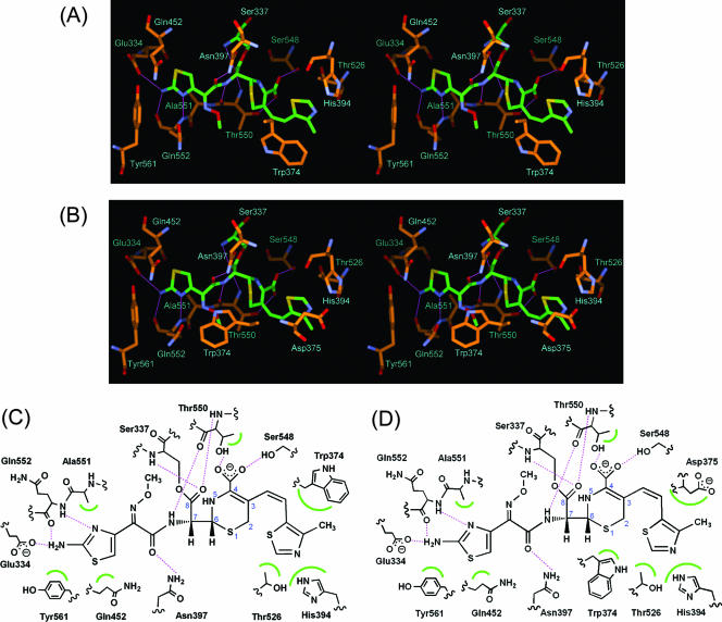 FIG. 4.