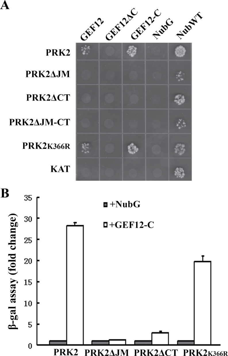 Fig. 5.