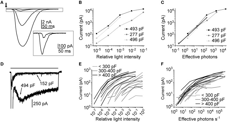 Figure 6