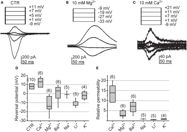 Figure 10