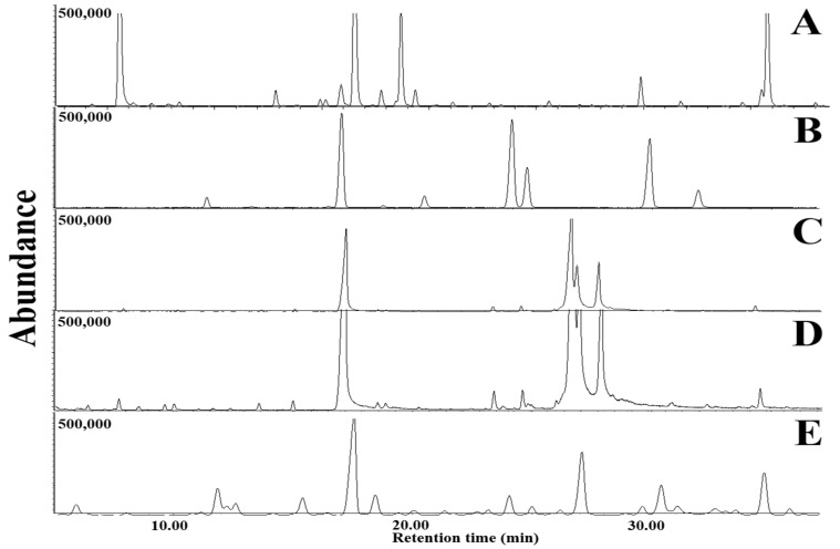 Figure 11