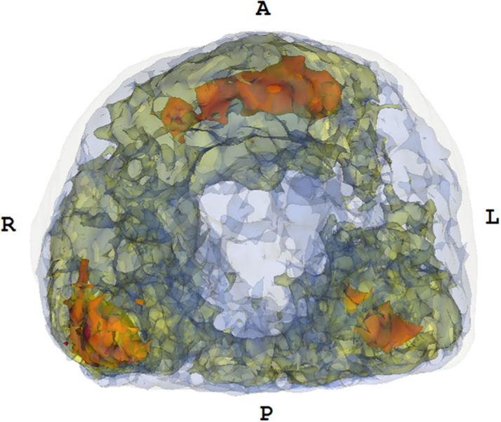 Fig. 3.