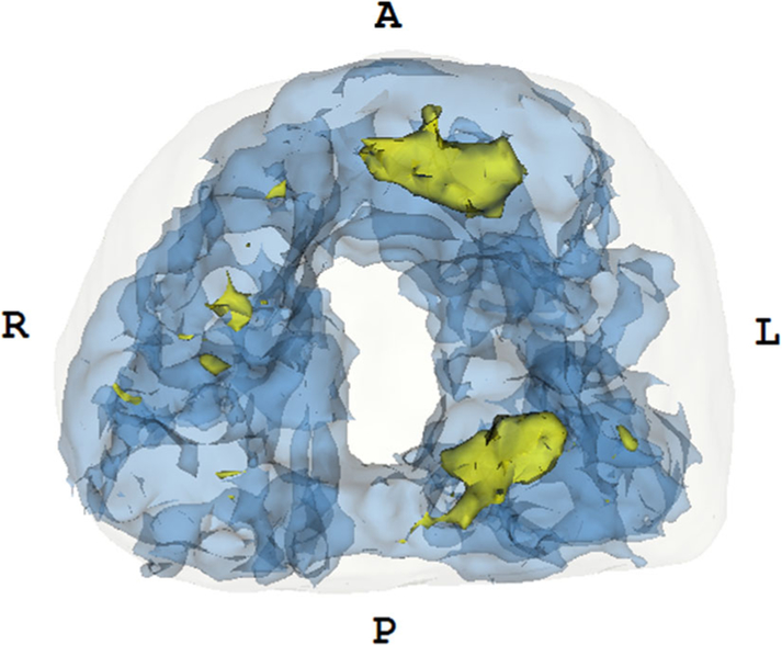 Fig. 5.