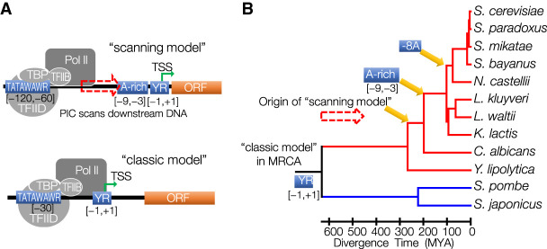 Figure 6.