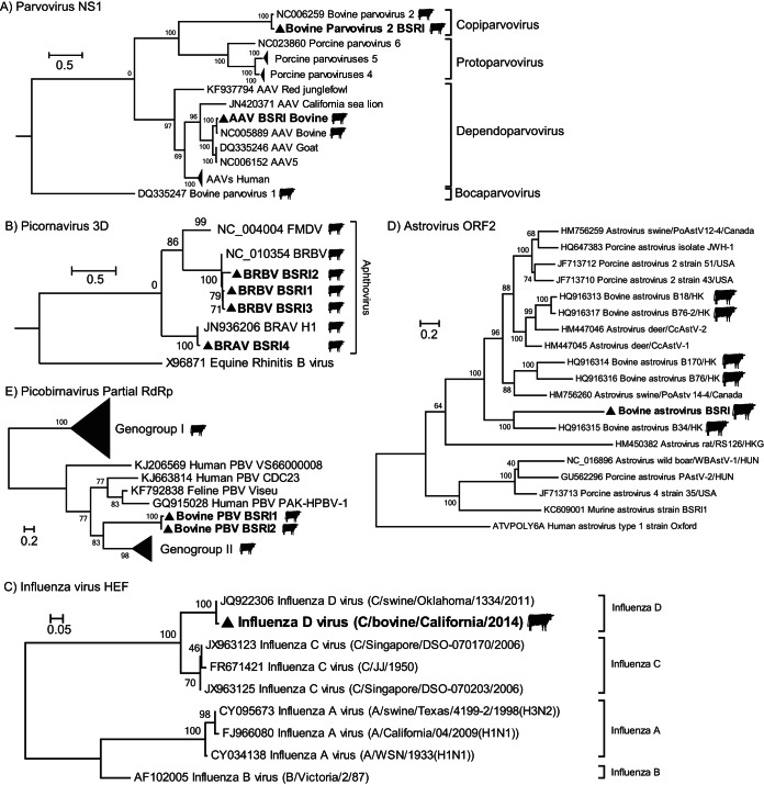 FIG 1