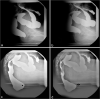 Figure 4: