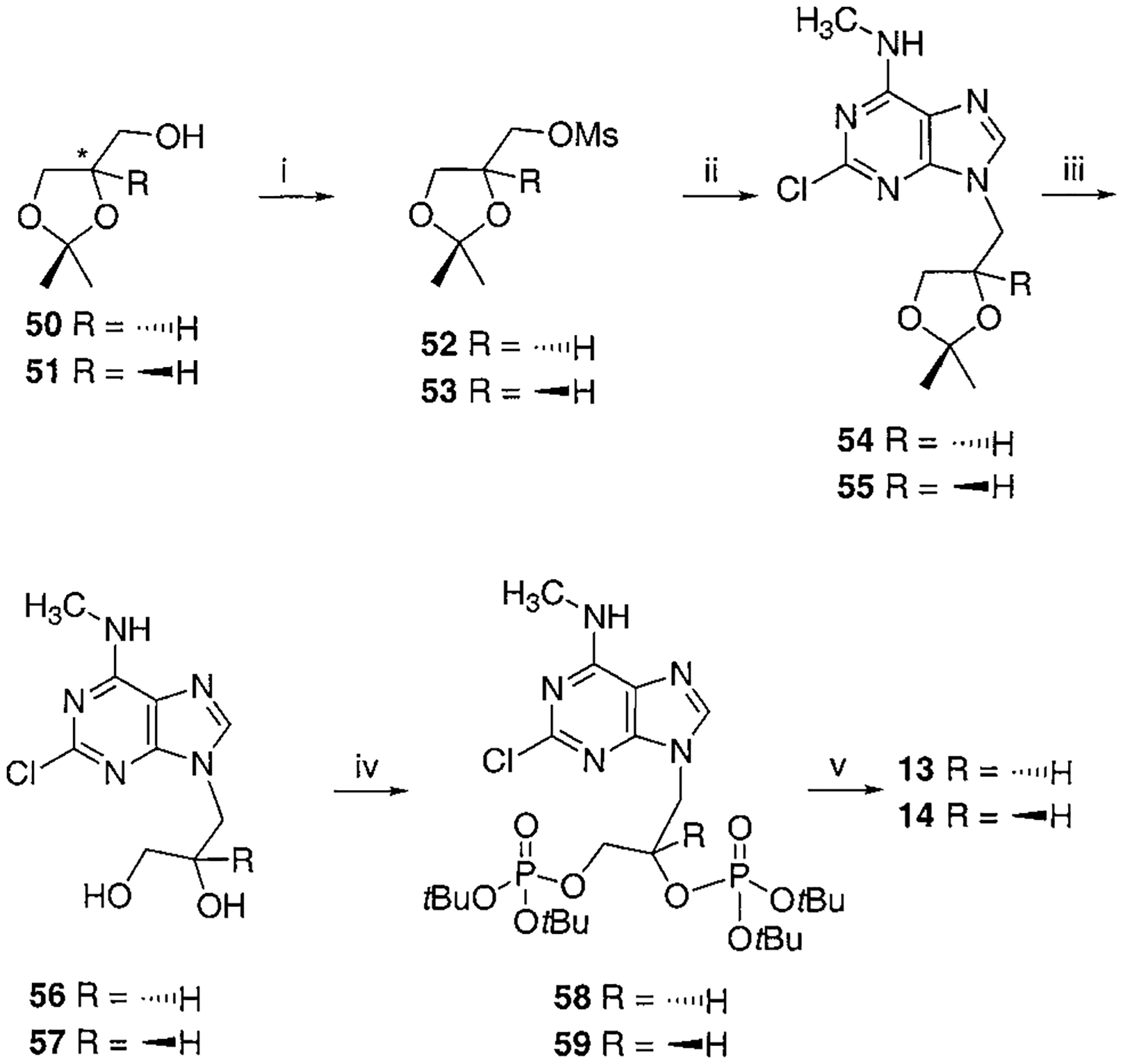 Scheme 5.