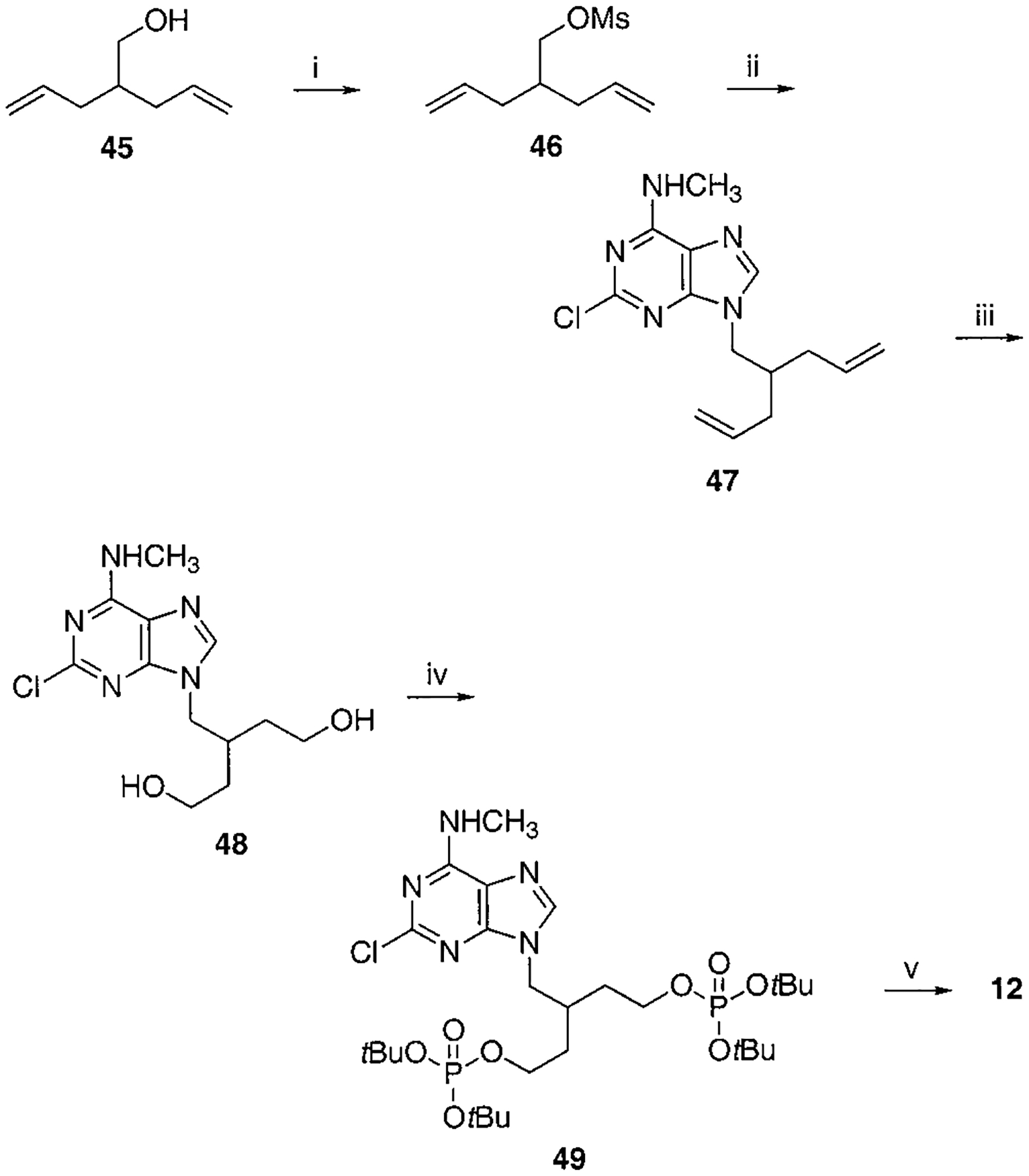 Scheme 4.