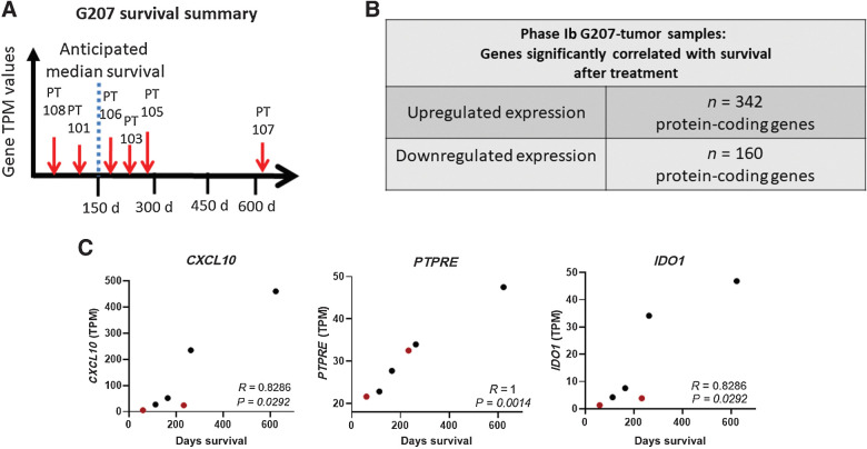 Figure 4. Spearman correlative analysis reveals significant set of genes associated with patient survival. A, Schematic correlative approach (TPM per gene vs. days of survival). d, days. B, Summary of the significant genes whose Spearman P values were ≤ 0.05. The full list of genes can be found in Supplementary Table S2A. C, Example of three of the 502 genes analyzed and their relationship between gene expression and survival; black dots represent mesenchymal tumors while red dots represent proneural or other subtype.