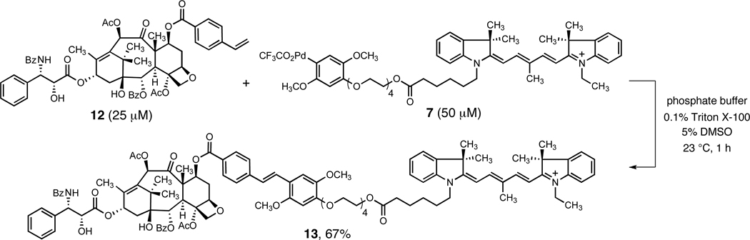 Scheme 2