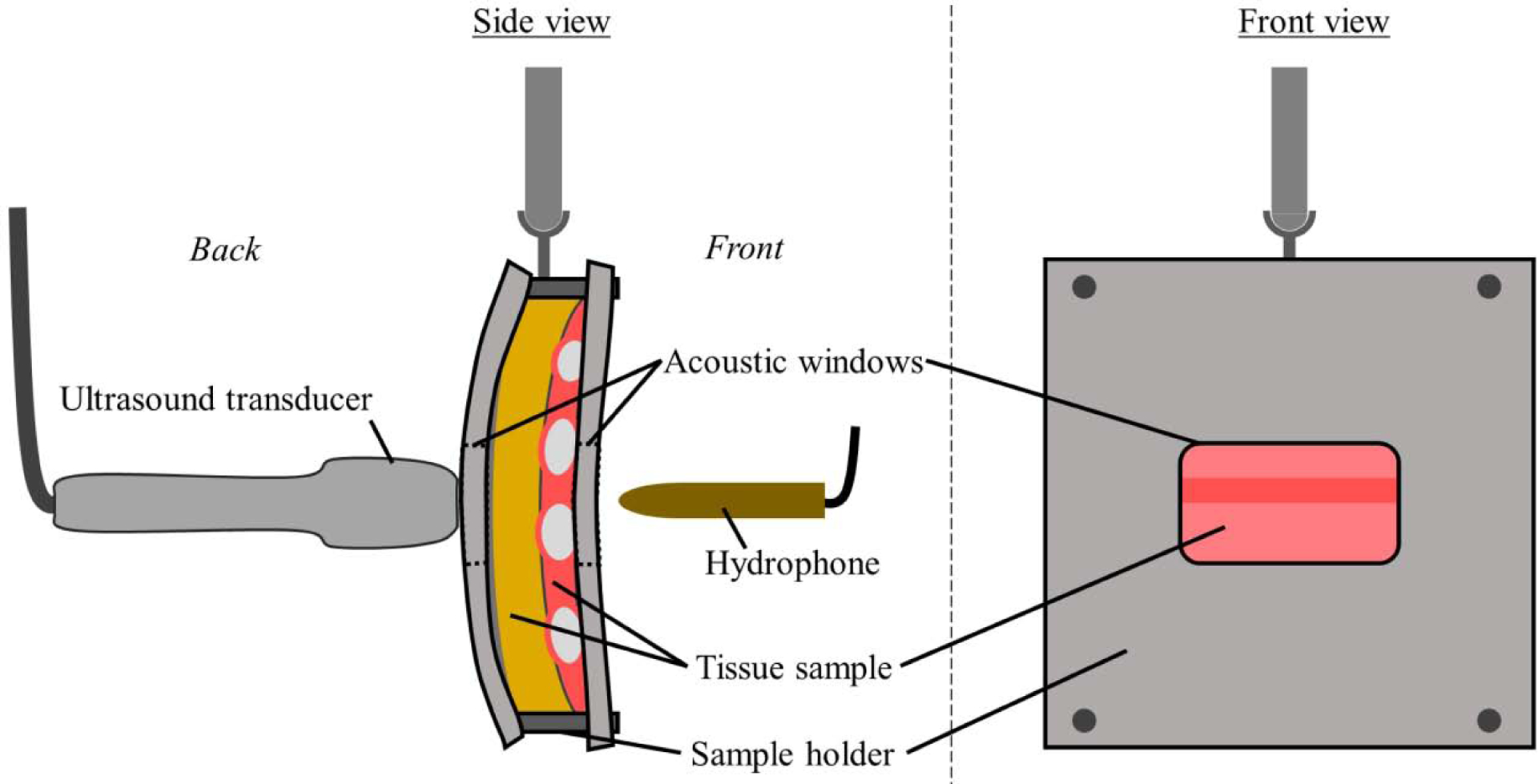 Figure 2: