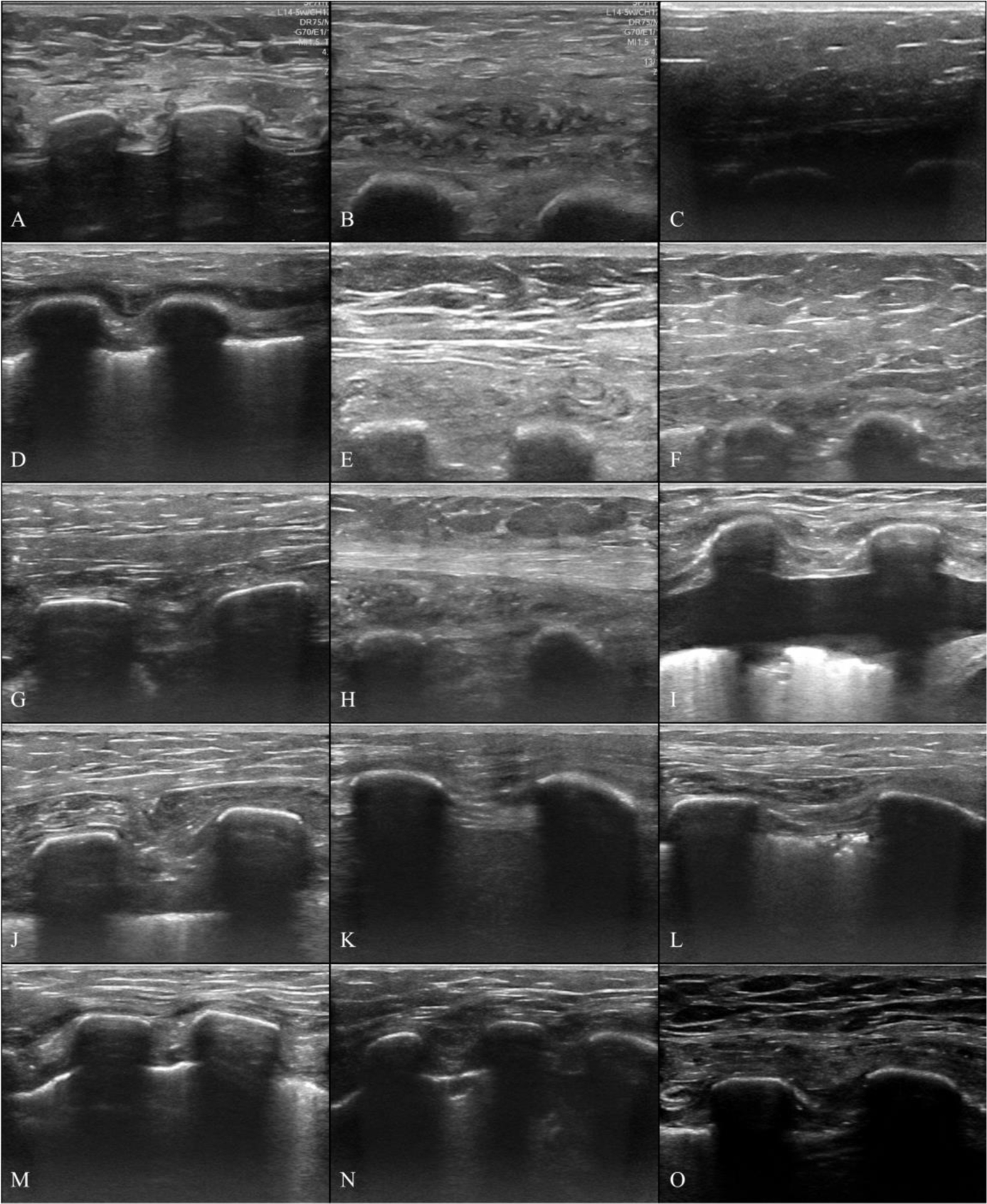 Figure 3: