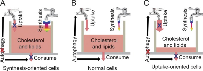 Figure 10.