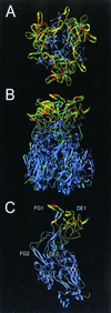 FIG. 7