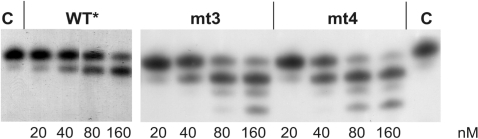 Figure 5.