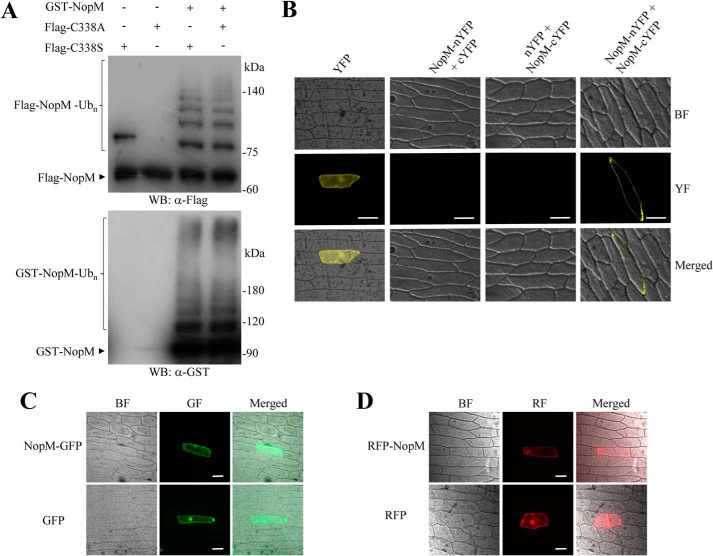 Figure 3.