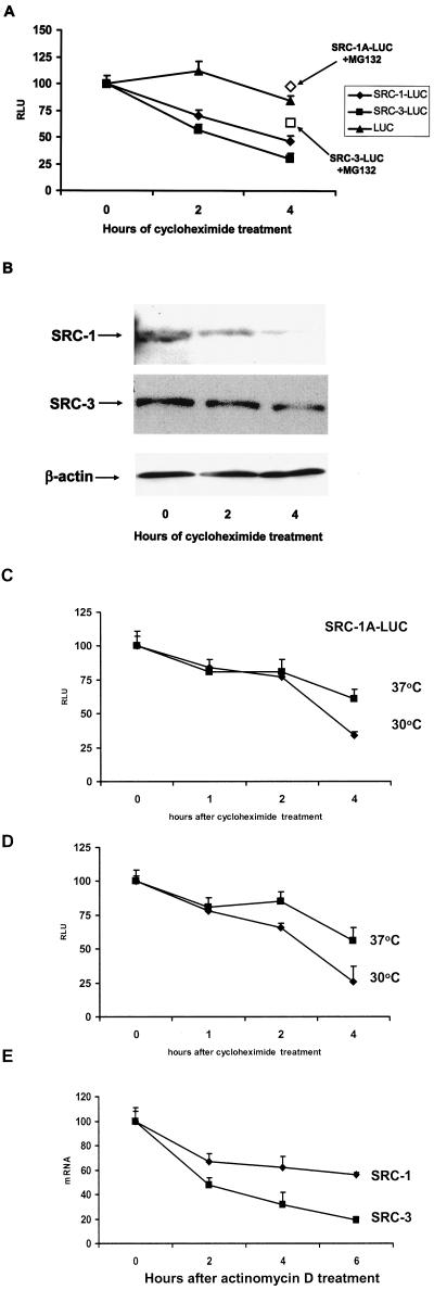 FIG.2.