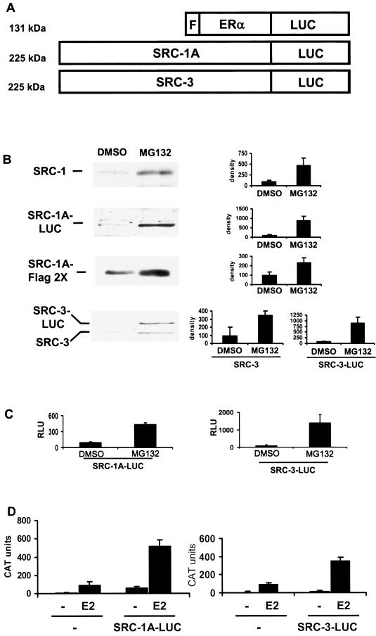 FIG.1.