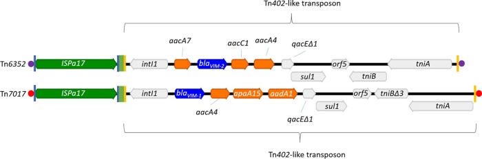 FIG 2