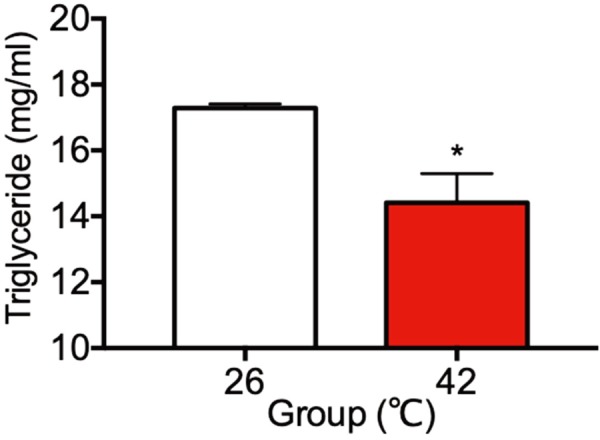 Fig. 8.