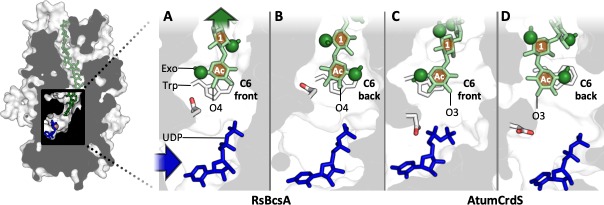 Fig 4