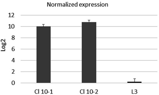 FIGURE 5