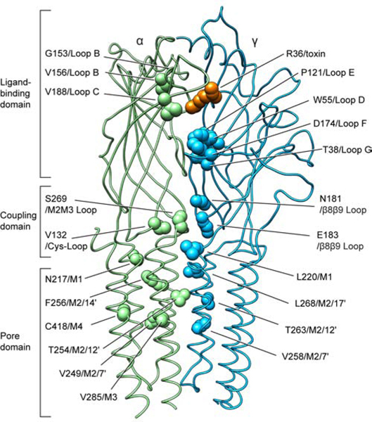 Figure 5.