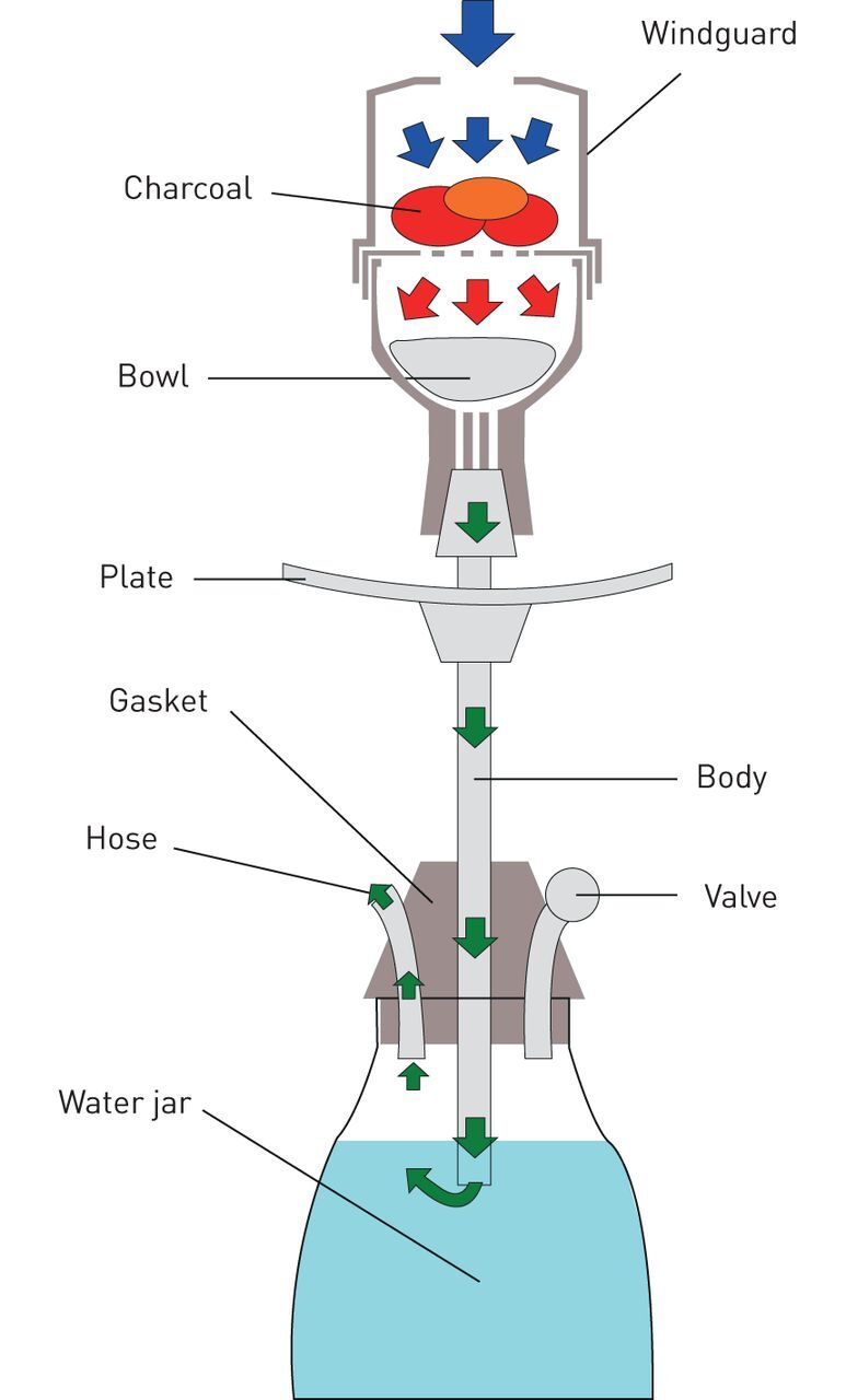 FIGURE 1