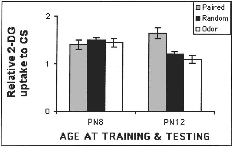 FIG. 6