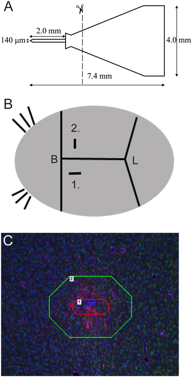 Fig 1