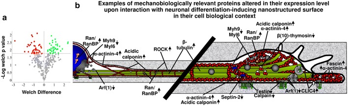 Fig. 9