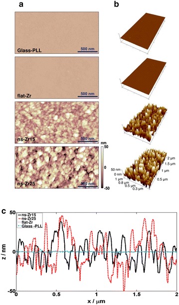 Fig. 2