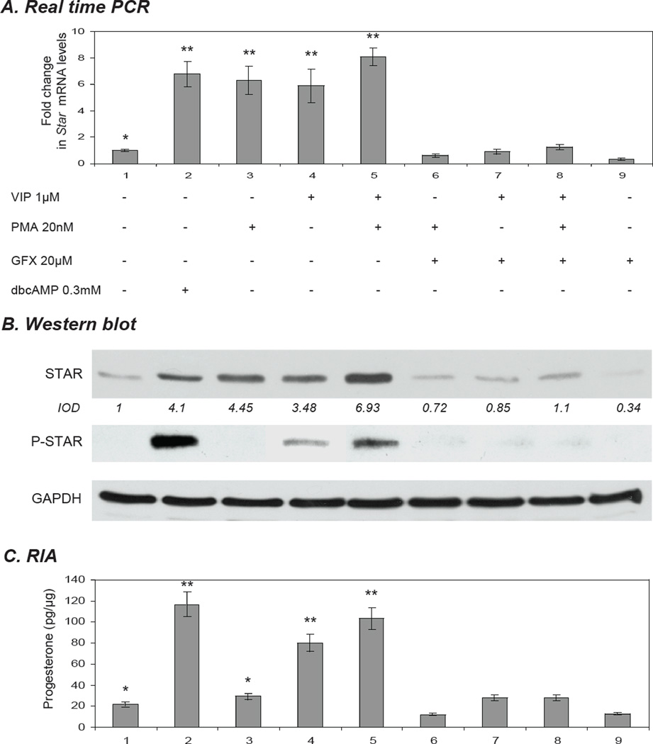 Figure 6