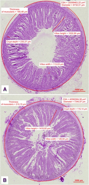 Fig. 2