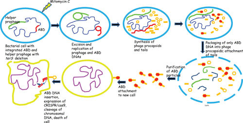 FIGURE 4