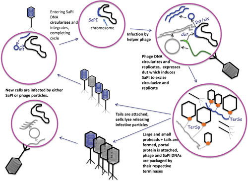 FIGURE 3