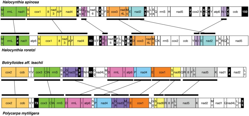 Fig. 3.—