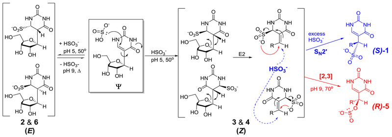 Scheme 2.