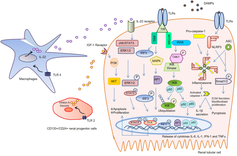 Figure 1