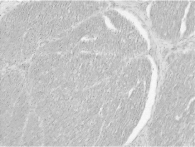 Figure 8
