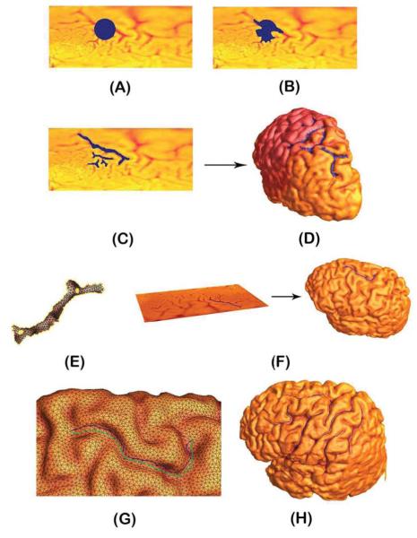 Fig. 5