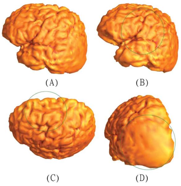 Fig. 6