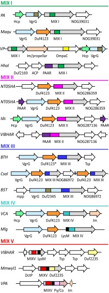 Fig. 3.